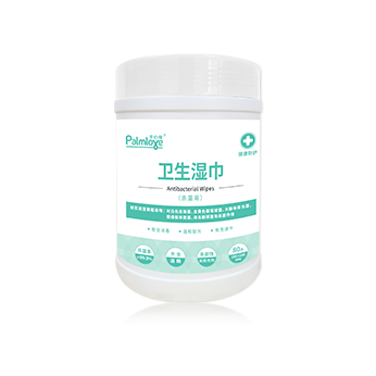 Palmlove antibacterial wipes